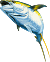 tuna
